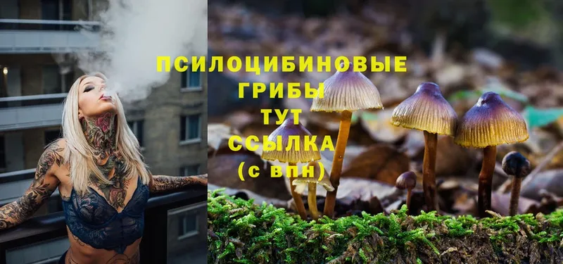 Галлюциногенные грибы GOLDEN TEACHER  Белоозёрский 